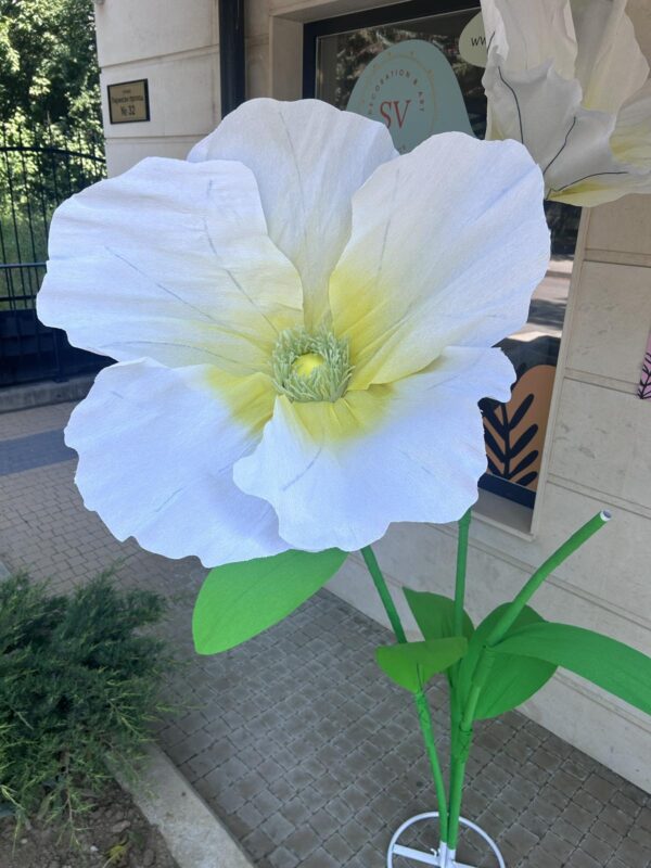 Ръчно изработени гигантски цветя от креп хартия ( изработваме ги по поръчка) цената е за 3 те бройки на обща стойка