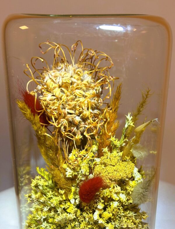 Стъклен купол със суха растителна декорация ( ръчна изработка )